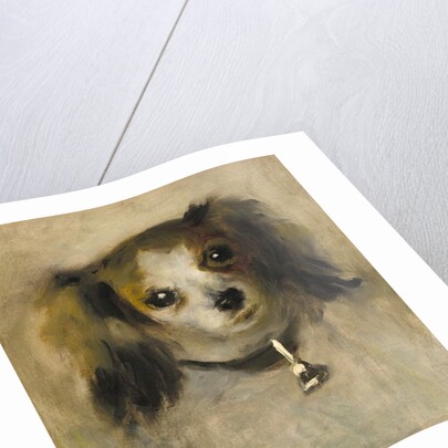 Head of a Dog, 1870 by Pierre Auguste Renoir