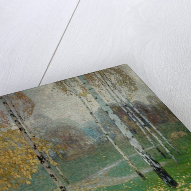 Birch Trees, 1904 by Alois Kalvoda