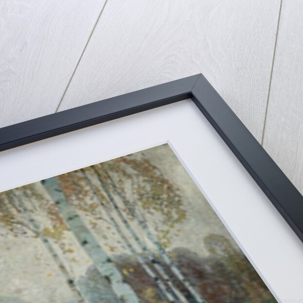 Birch Trees, 1904 by Alois Kalvoda