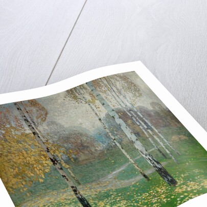 Birch Trees, 1904 by Alois Kalvoda