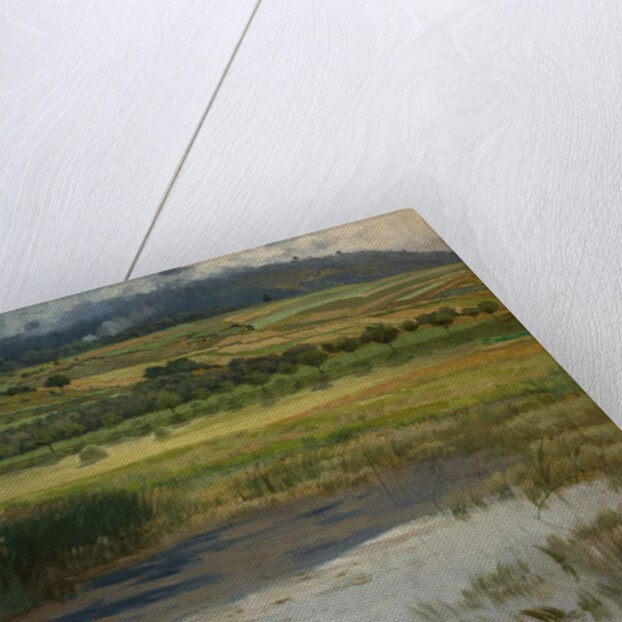 The 'Drowned“ Pond, 1887 by Antonin Chittussi