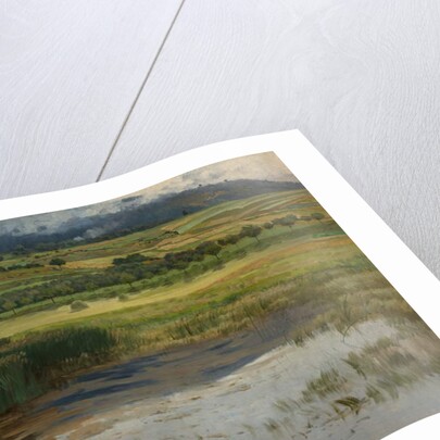 The 'Drowned“ Pond, 1887 by Antonin Chittussi