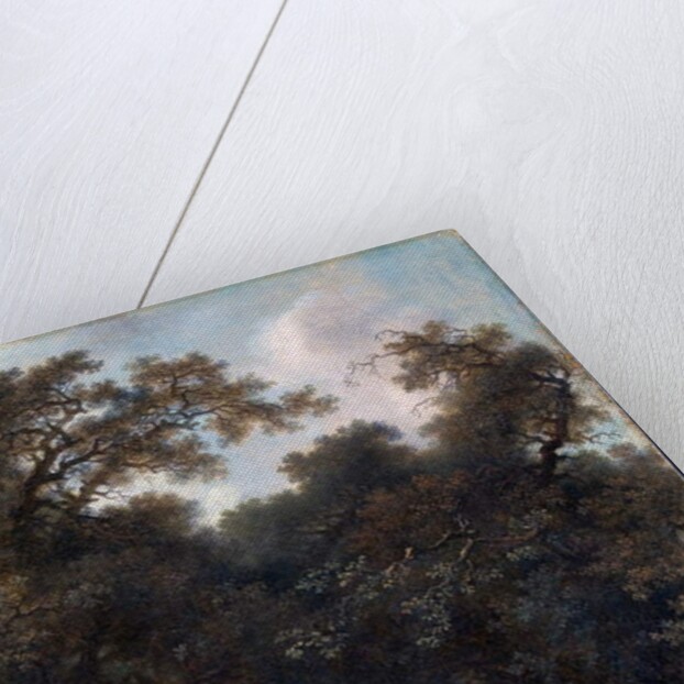 A Shaded Avenue, c. 1775 by Jean-Honore Fragonard