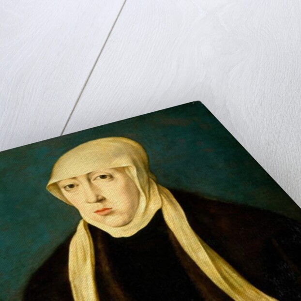 Mary, Queen of Hungary by Jan Cornelisz (after) Vermeyen