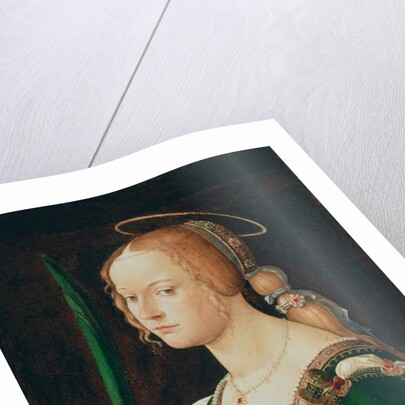 Saint Justina of Padua, c.1490 by Bartolomeo Montagna