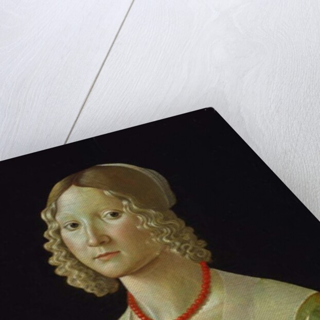 Selvaggia Sassetti, c.1487-88 by Davide Ghirlandaio