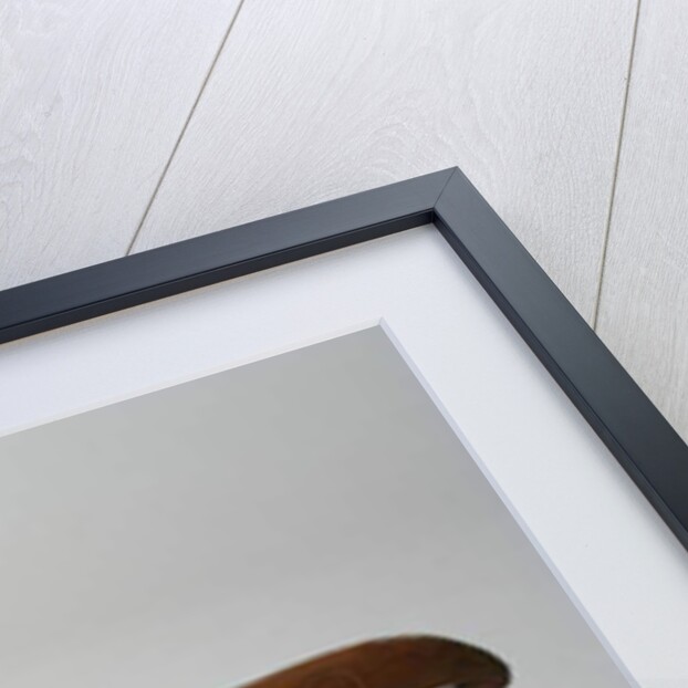 Raven Bowl, c.1870 by Haida