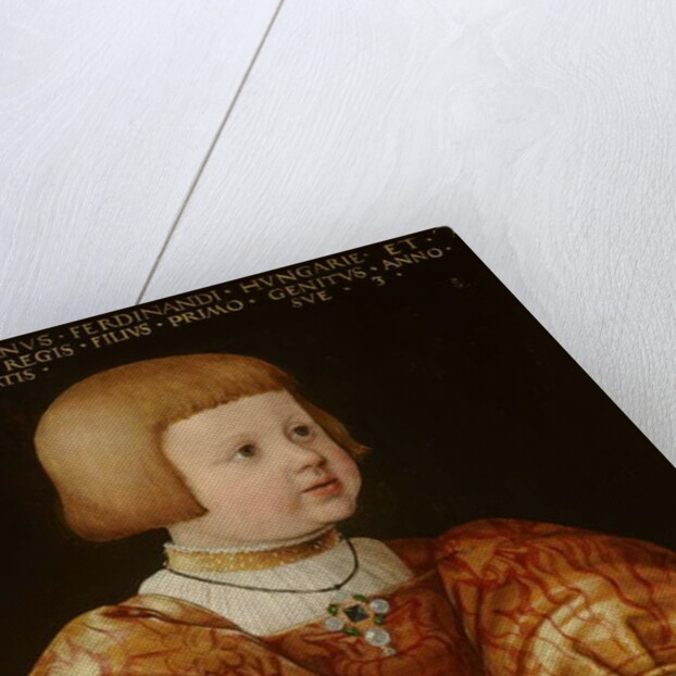 Portrait of Maximilian of Austria Aged Three, 1630 by Jakob Seisenegger