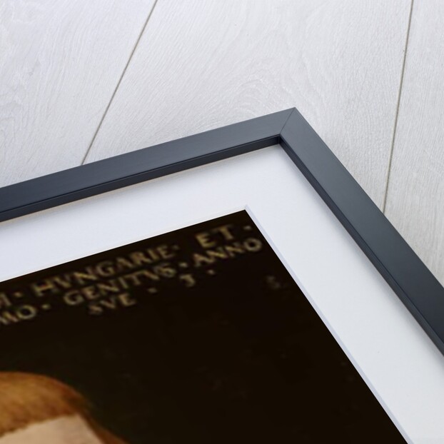 Portrait of Maximilian of Austria Aged Three, 1630 by Jakob Seisenegger