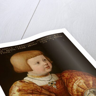 Portrait of Maximilian of Austria Aged Three, 1630 by Jakob Seisenegger