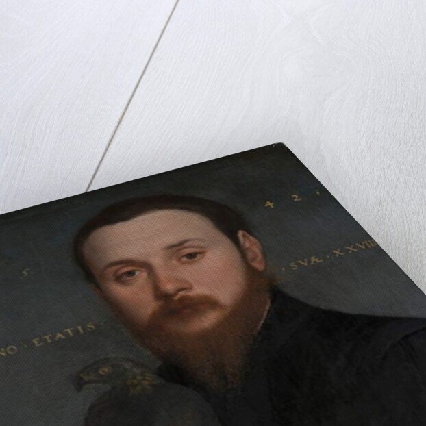 Portrait of a Nobleman with a Hawk, 1542 by Hans Holbein the Younger