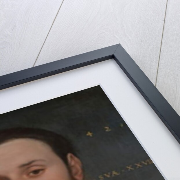 Portrait of a Nobleman with a Hawk, 1542 by Hans Holbein the Younger