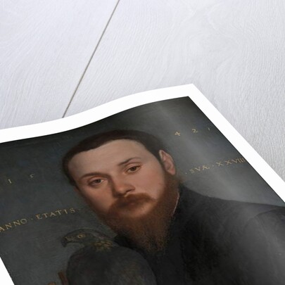Portrait of a Nobleman with a Hawk, 1542 by Hans Holbein the Younger