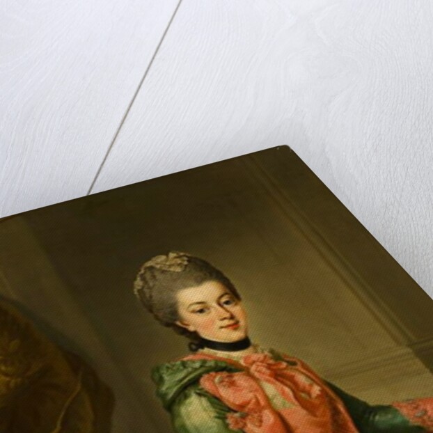 Portrait of Princess Frederika Sophia Wilhelmina, c.1768-69 by Johann Georg Ziesenis