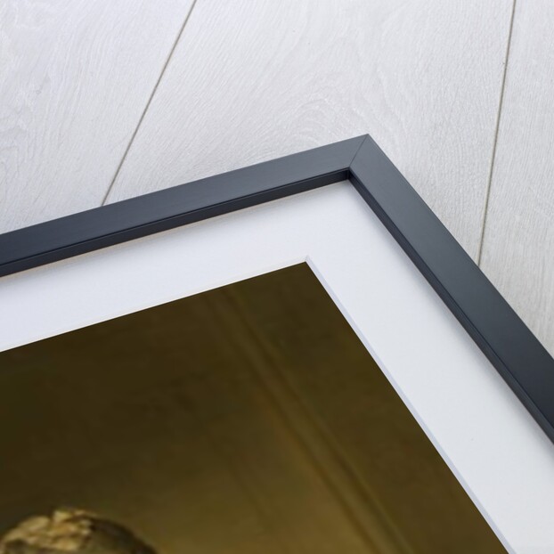 Portrait of Princess Frederika Sophia Wilhelmina, c.1768-69 by Johann Georg Ziesenis