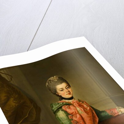 Portrait of Princess Frederika Sophia Wilhelmina, c.1768-69 by Johann Georg Ziesenis