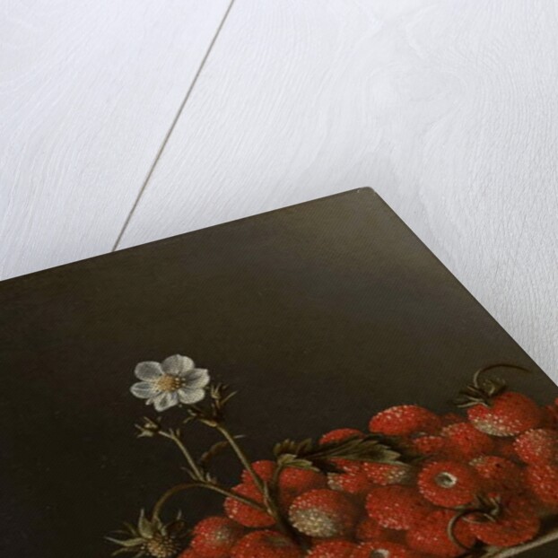 Still Life with Wild Strawberries, 1705 by Adrian Coorte
