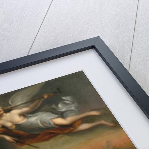 Allegory of Cornelis de Witt as Instigator of the Victory at Chatham in 1667 by Jan de Baen