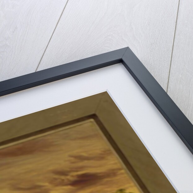 La Salle Claiming Louisiana for France, April 9th 1682, 1847-48 by George Catlin