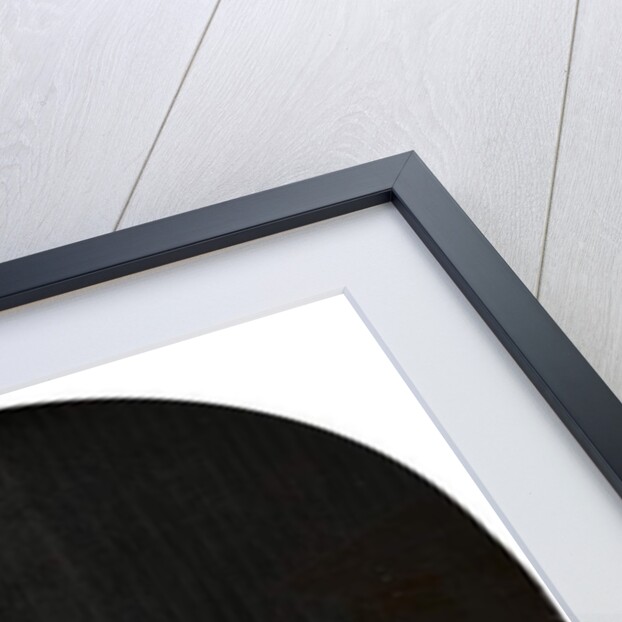 Man and Woman with Two Dogs, known as 'Teasing the Pet', 1660 by Frans van Mieris