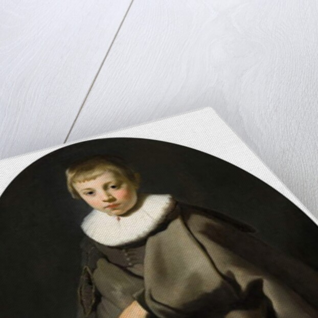 Portrait of a Boy in Grey, 1634 by Jacob Adriensz Backer