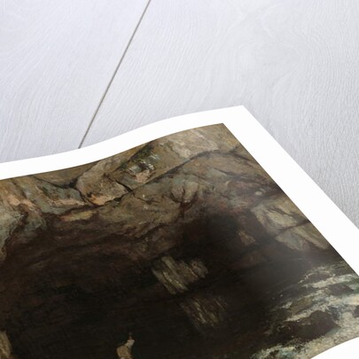 La Grotte de la Loue, 1864 by Gustave Courbet