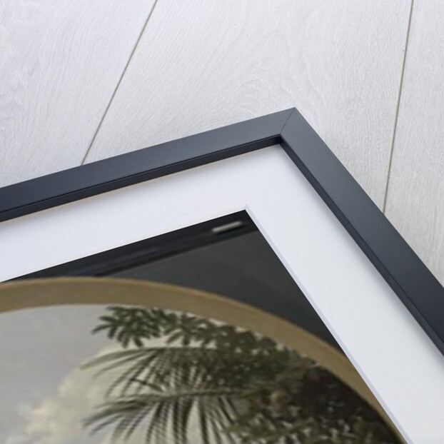 Landscape in Brazil, 1652 by Frans Jansz Post