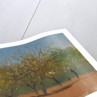 Trees in Blossom, c.1880-90 by Laszlo Mednyanszky