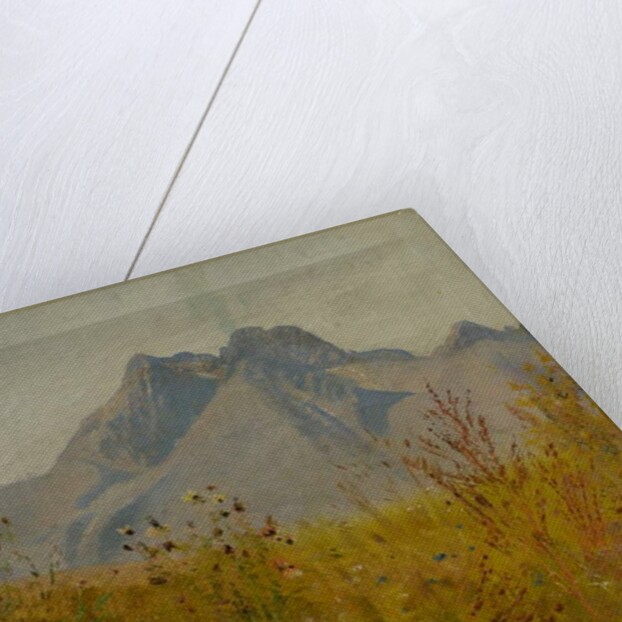 Lomnický Peak, 1890 by Laszlo Mednyanszky