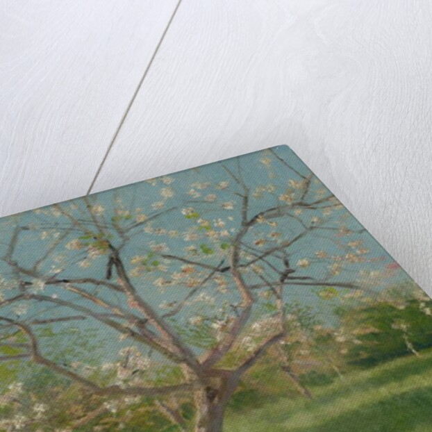 Orchard trees in blossom, 1900-10 by Laszlo Mednyanszky