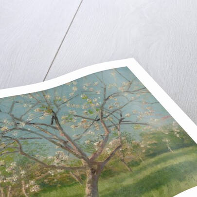 Orchard trees in blossom, 1900-10 by Laszlo Mednyanszky