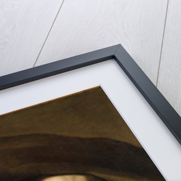 Daniel van Aken Playing the Violin, c.1640 by Frans Hals