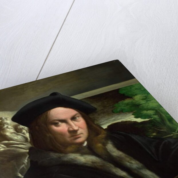 Portrait of a Collector, c.1523 by Parmigianino