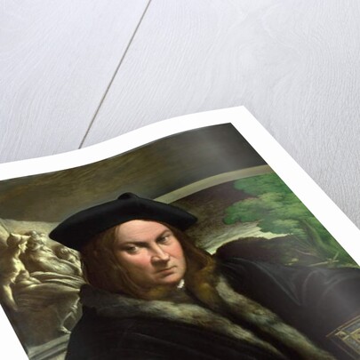 Portrait of a Collector, c.1523 by Parmigianino