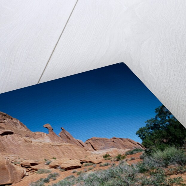 Park Avenue, Arches National Park, Utah by Anonymous