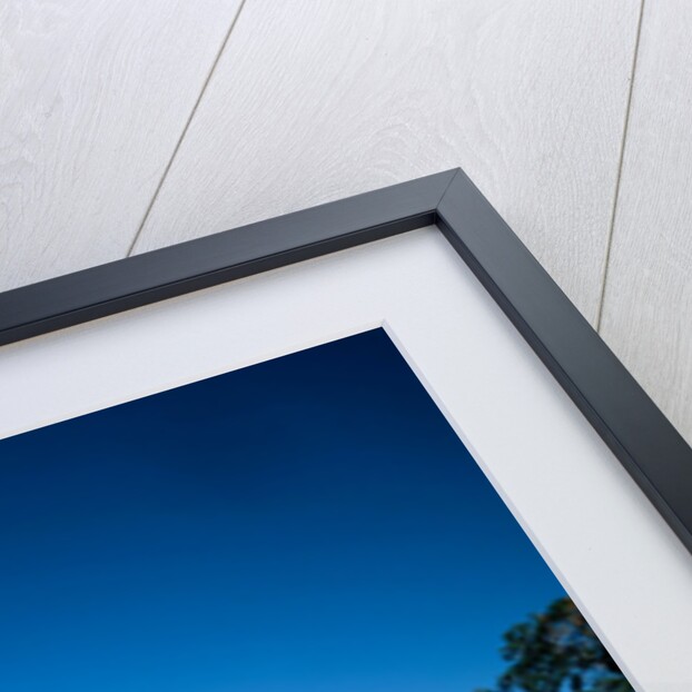 Park Avenue, Arches National Park, Utah by Anonymous