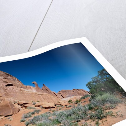 Park Avenue, Arches National Park, Utah by Anonymous