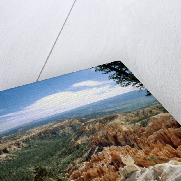 Bryce Canyon National Park, Utah by Anonymous