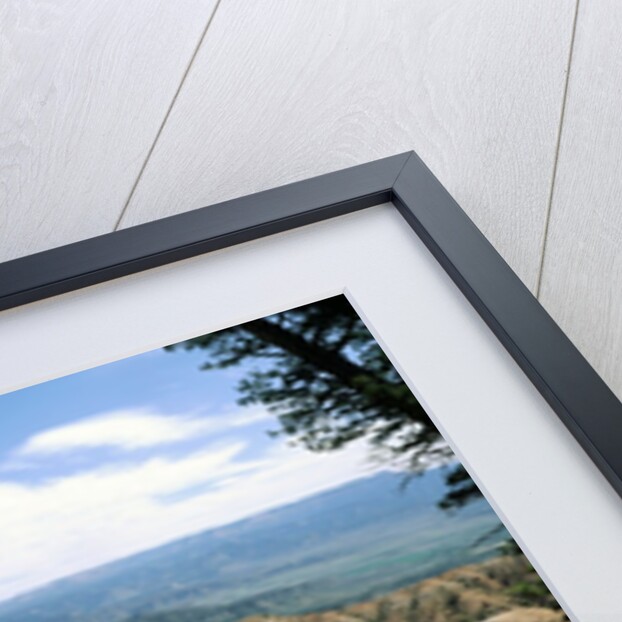 Bryce Canyon National Park, Utah by Anonymous