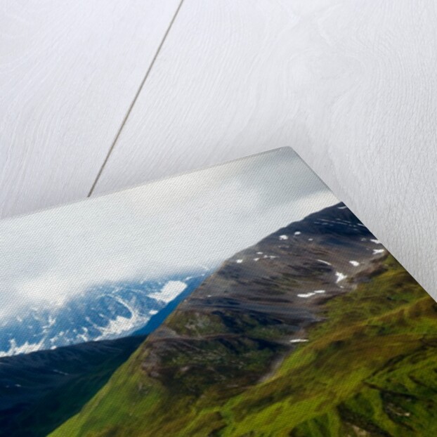 Alaskan tundra, Denali National Park, Alaska by Anonymous