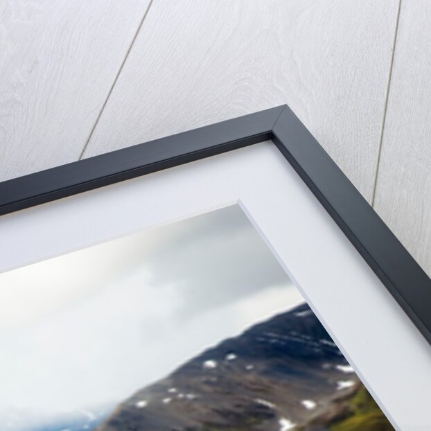 Alaskan tundra, Denali National Park, Alaska by Anonymous