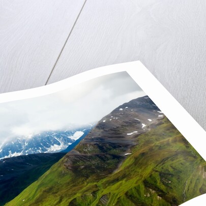 Alaskan tundra, Denali National Park, Alaska by Anonymous