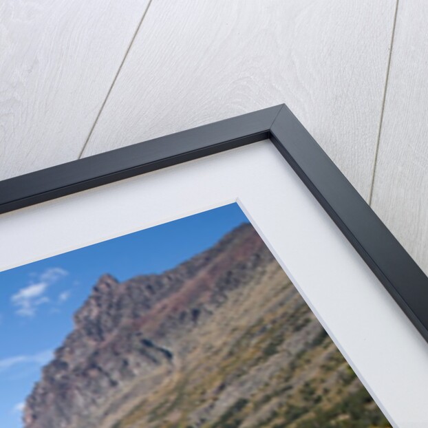 Glacier National Park, Montana by Anonymous