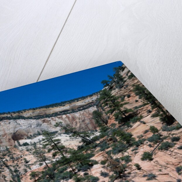 Zion National Park, Utah by Anonymous