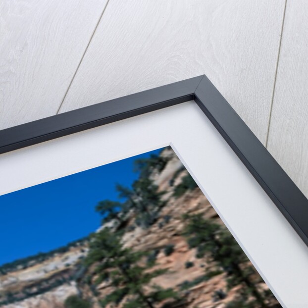 Zion National Park, Utah by Anonymous