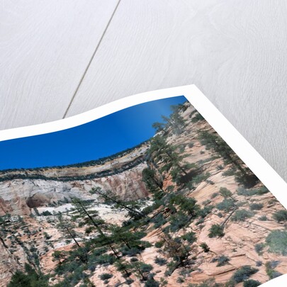 Zion National Park, Utah by Anonymous