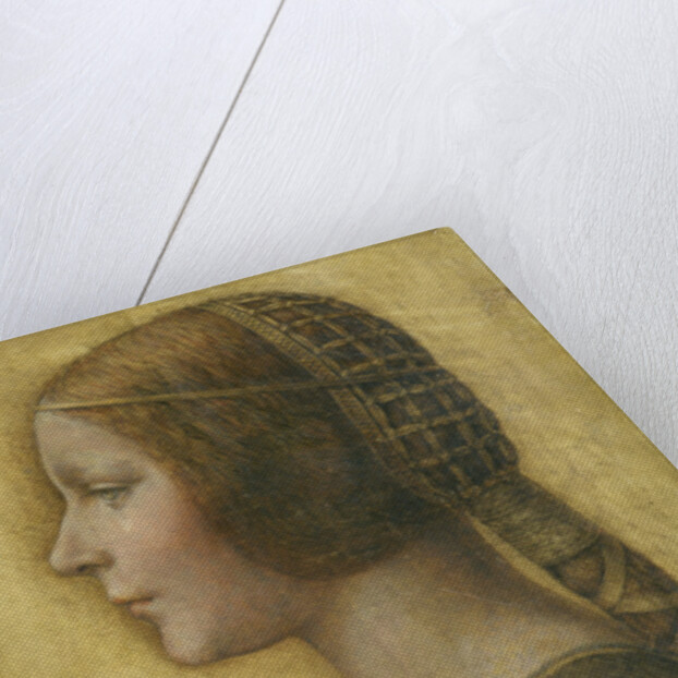 La Bella Principessa, 1495 by Leonardo da (attr.to) Vinci
