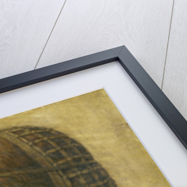 La Bella Principessa, 1495 by Leonardo da (attr.to) Vinci