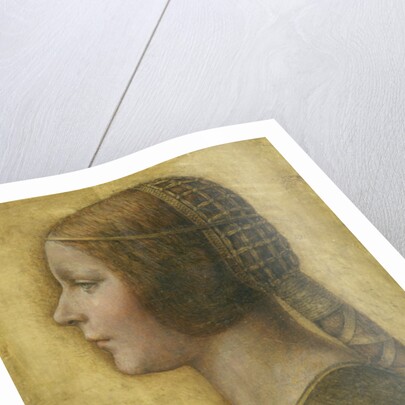 La Bella Principessa, 1495 by Leonardo da (attr.to) Vinci