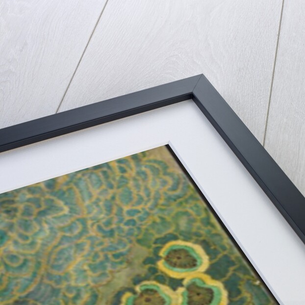 Pattern sheet, 1897 by Andreas Schneider